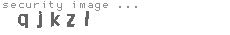 security image
