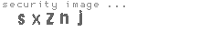 security image
