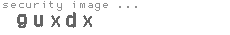 security image