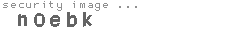 security image