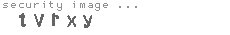 security image