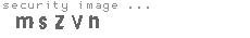 security image