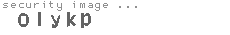 security image