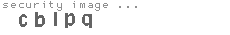 security image
