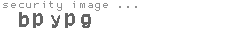 security image