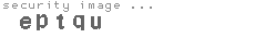 security image