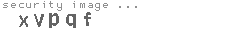 security image