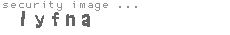 security image