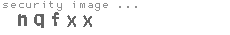 security image