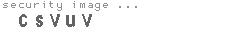 security image