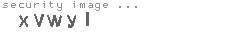 security image