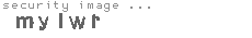 security image