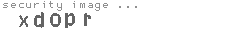 security image