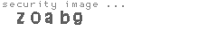 security image