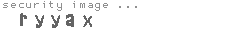 security image