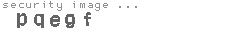 security image