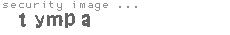 security image