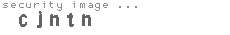 security image