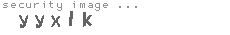 security image