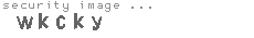 security image