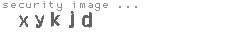 security image