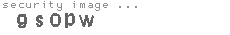 security image
