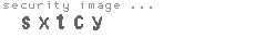 security image