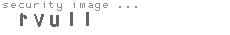 security image
