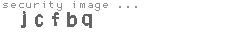 security image