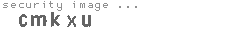 security image