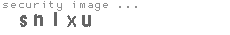security image