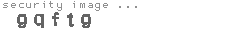 security image