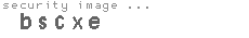 security image