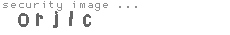 security image