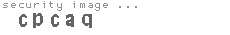 security image