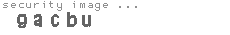 security image