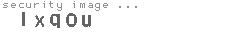 security image