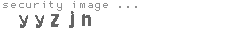 security image