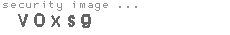 security image