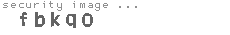 security image