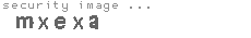 security image