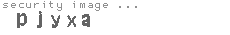 security image