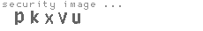 security image