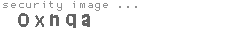 security image