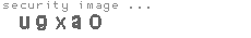 security image