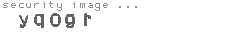 security image