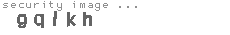 security image