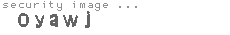 security image