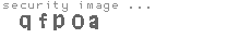 security image
