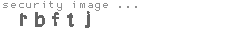 security image